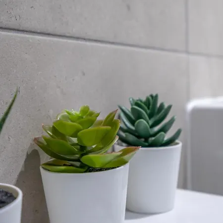 Walls Sanctuary - 5 Apartment