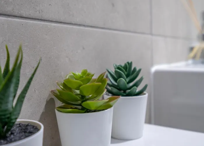 Walls Sanctuary - 5 Apartament